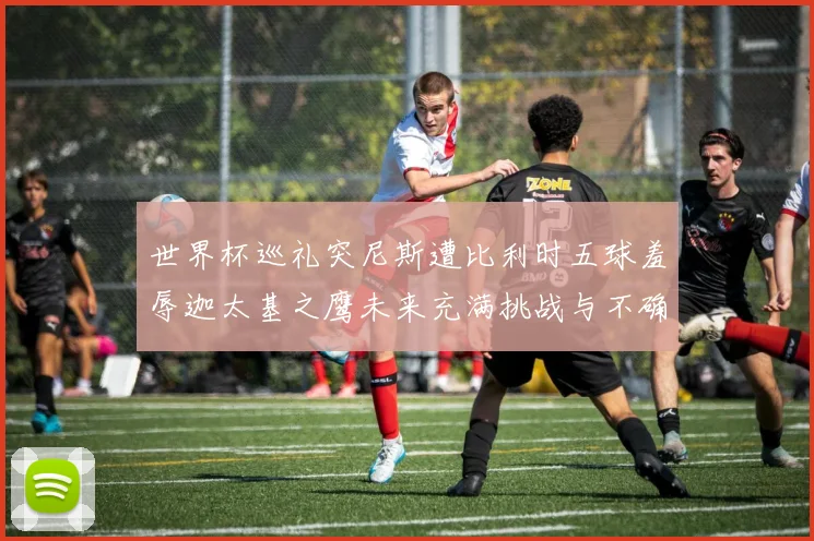 世界杯巡礼突尼斯遭比利时五球羞辱迦太基之鹰未来充满挑战与不确定性
